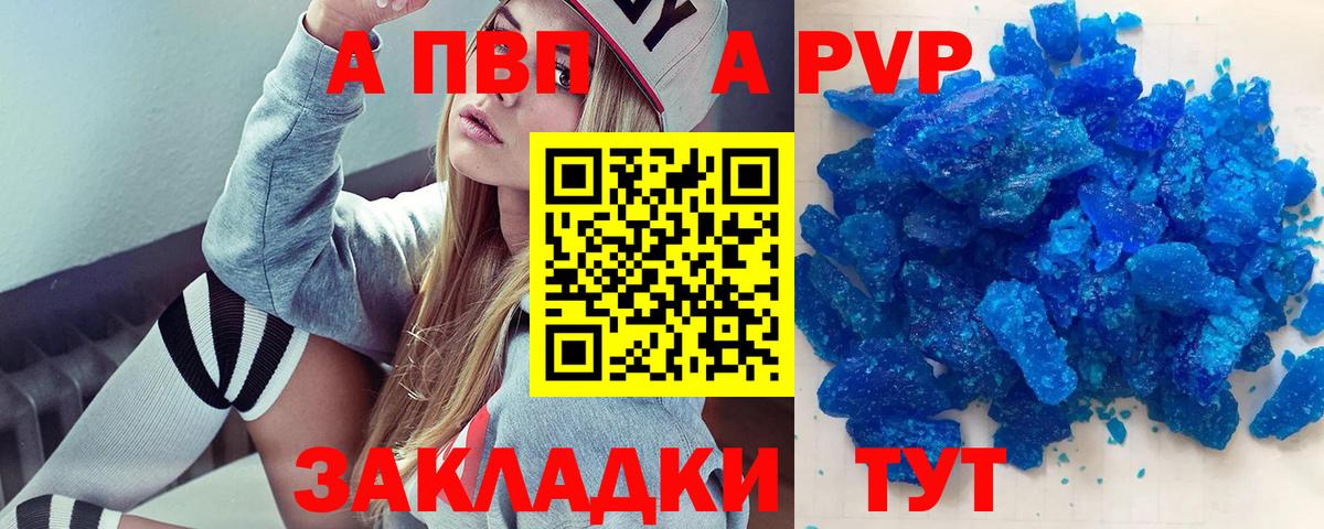 A PVP СК КРИС Великий Новгород