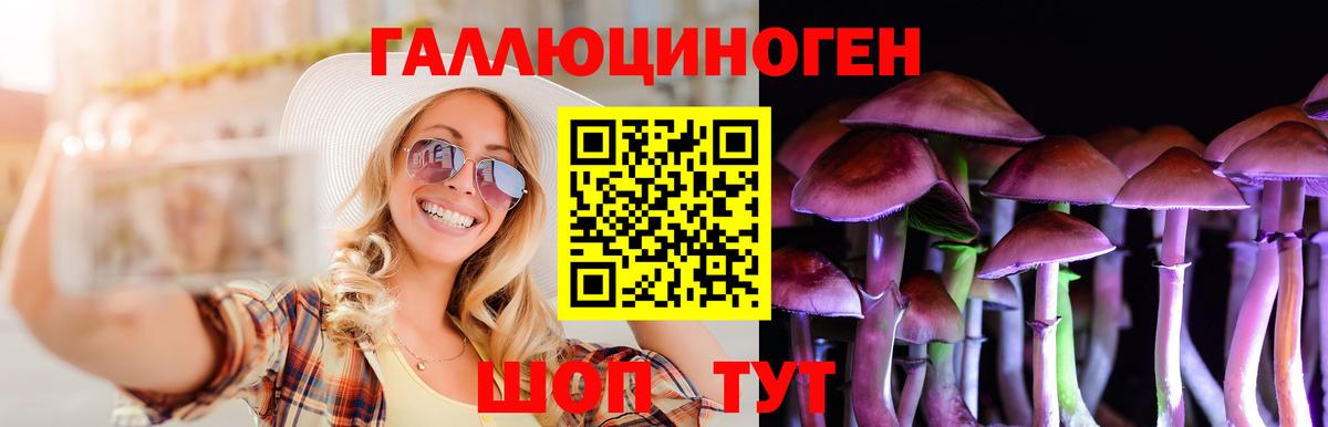 Псилоцибиновые грибы Psilocybine cubensis  Вход с VPN  Великий Новгород  Галлюциногенные грибы прущие грибы 